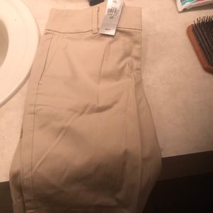 Ann Taylor brand new shorts 6 inch seam